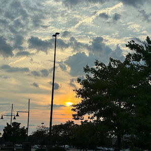 Meet your Posher, Mila